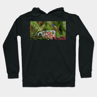 Painted Bunting Birds Hoodie